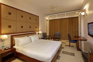 Lemon Tree Hotel Baddi - Baddi - 6