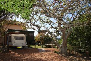 Coral Tree SelfCatering - St Francisbaai - 4