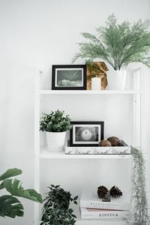 Studio 41 Salaya-Sai4 - 5