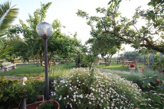 B&B la Sirenetta - Diamante - 3