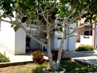 Apartments Branko Nin - Nin - 6