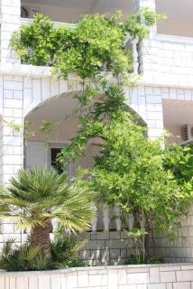 Apartment Stara Novalja 6469c - 1
