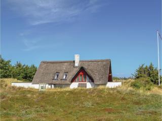 Holiday Home Tingodden Iv - Hvide Sande - 4