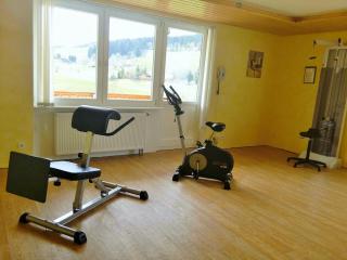 Hotel Kaltenbach - Triberg - 5