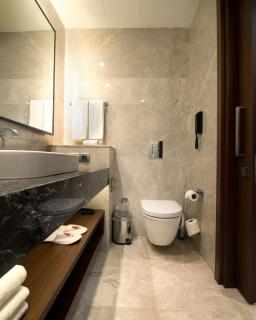 Clarion Hotel Golden Horn - Istanbul - 8