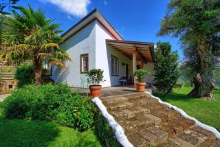 Villa Oliveta by PosarelliVillas - Santa Lucia - 6