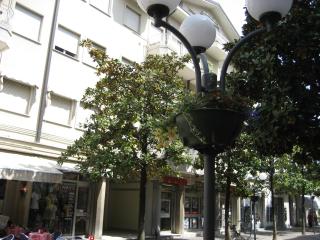 Appartamento Warner - Grado - 0