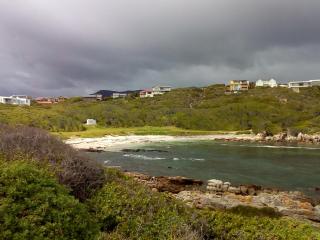 Whale of a time - Gansbaai - 9