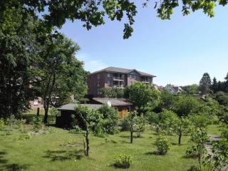 Haus Roland _ Wohnung 10 - Zinnowitz - 6