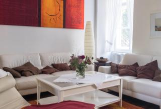 Spacious old town luxury apartment - Linz - 9