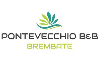 B&B PONTEVECCHIO - Brembate - 1