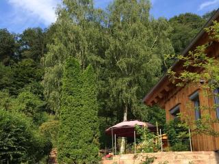Holzhauszeit - Laudenbach - 1