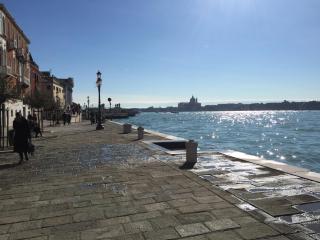 Cruise Studio - Venice - 6