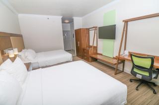 Holiday Inn Express Hotel & Suites Greenville by IHG - Greenville - 4
