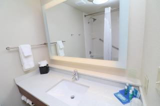 Holiday Inn Express Hotel & Suites Greenville by IHG - Greenville - 2