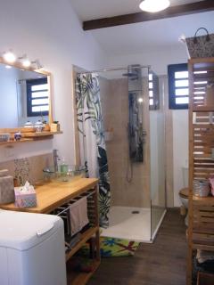 Géranium et Manguier Guest House - Saint-Gilles-les Hauts - 9