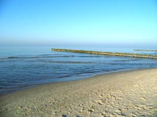 Zur Fledermaus - Graal-Müritz - 0