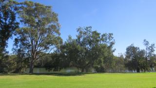 Macquarie 4 Star - 6