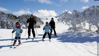 East 302 St Falls - Falls Creek - 5