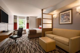 Microtel Inn & Suites by Wyndham Oyster Bay Ladysmith - Ladysmith - 8