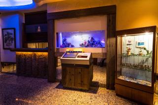 WATER HOTEL Cy (Audlt Only) - Machida - 3