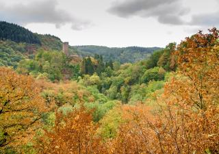 Ferienhaus Vulkaneifel Kopp - Kopp - 7