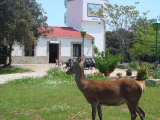 San José - Andújar - 0