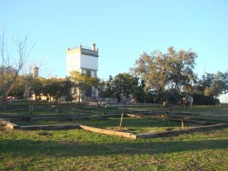 San José - Andújar - 3