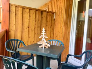 Appartement - Terrasse "L' orée des monts" - Loudenvielle location - Loudenvielle - 3