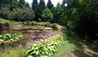 Centennial House Taupo - 1