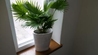 Hotel An der Altstadt - 5