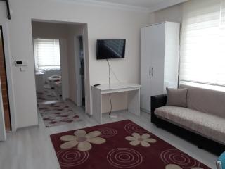 Dr Aslan Apart Hotel - Esenboga - 4