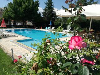 Prespa Resort & Spa - Platy - 2