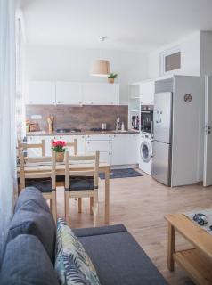 Downtown pedestrian zone apartment - Bratislava - 0