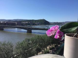 danube paradise - Budapest - 8