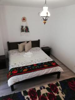 Pensiunea Pietrosul Rodnei - 9