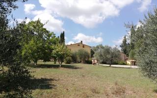 Nel Chianti lungo la Francigena - Colle di Val d’Elsa - 1