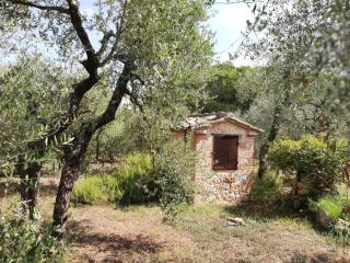 Nel Chianti lungo la Francigena - Colle di Val d’Elsa - 7