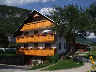Apartmaji Verica Ceklin - 9