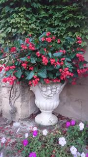 Domaine de Paguy - Betbezer - 3