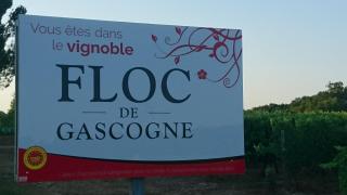 Domaine de Paguy - Betbezer - 6