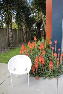 Refreshstay - Palmerston North - 1