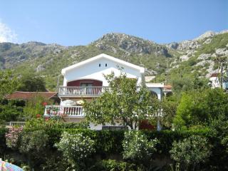 Apartments Biga - Donji Morinj - 5