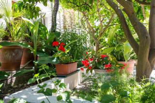 Apartman Pia - Mali Lošinj - 3