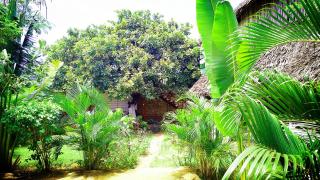 Diani Hostel - Diani Beach - 3
