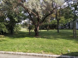 Apartment Paradies - U1 Station altes Landgut - 3