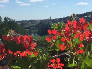 Ferienwohnung Hauzenberg Blick - Hauzenberg - 6