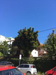 Excelente Casa em Bombas - Bombinhas - 0