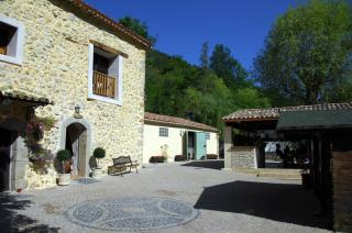 Camping La Ferme de Castellane - Castellane - 9