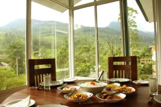 White Elephant Hotel - Maskeliya - 3